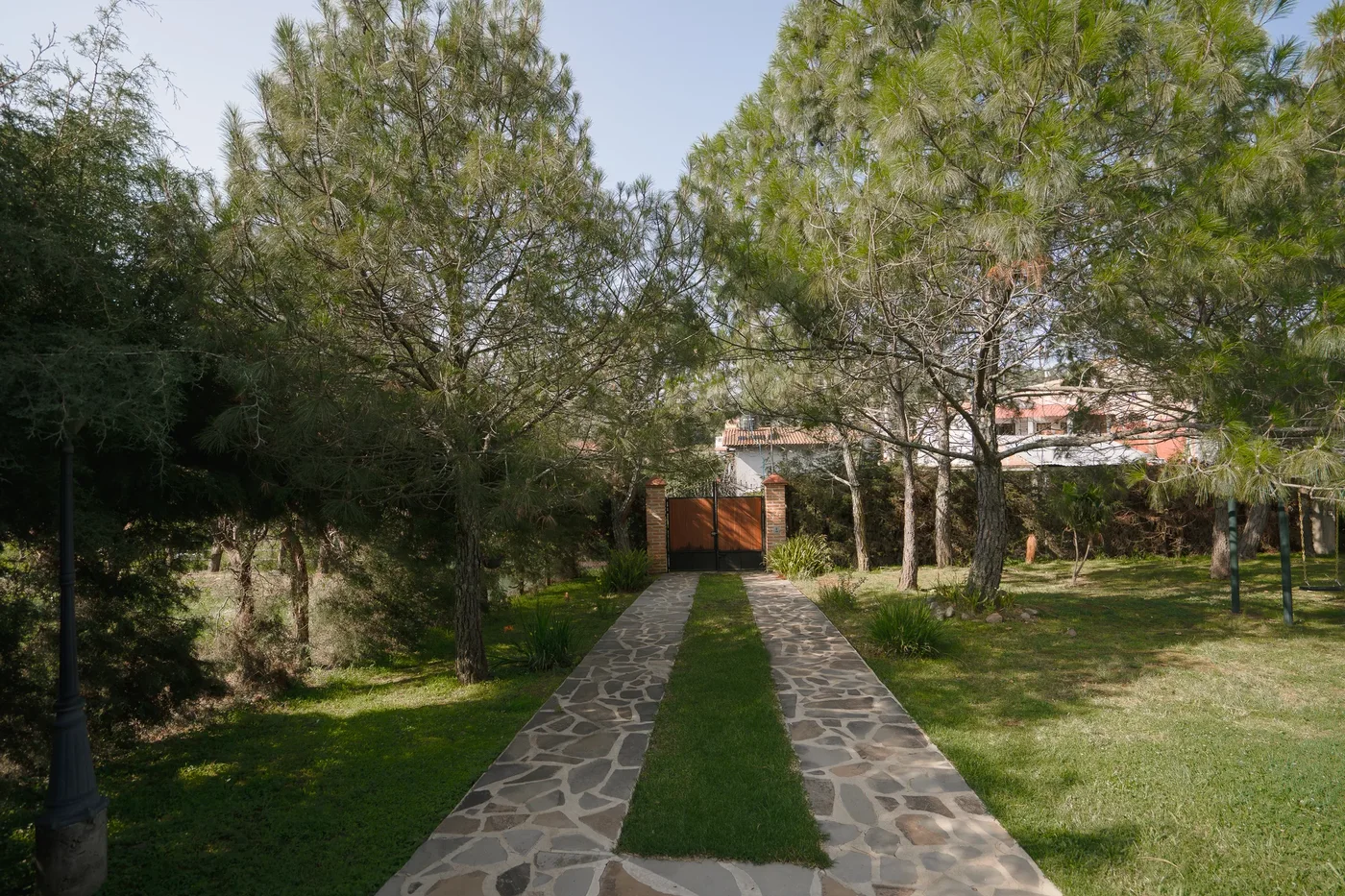 Camino de piedra entre los pinos de las 2.5 hectáreas reforestadas de Paseo del Llano