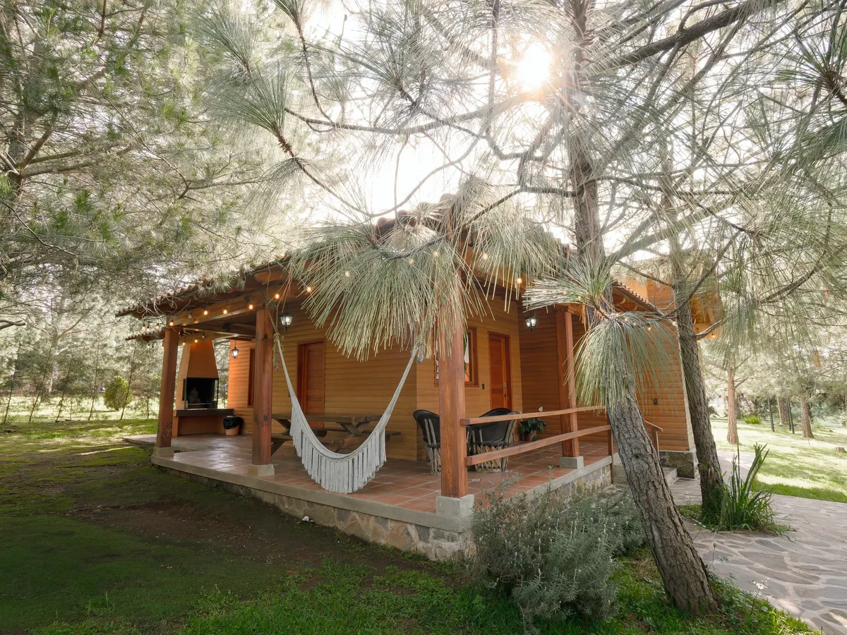 Cabaña Virgo entre pinos, con terraza cubierta y hamaca, para 10 personas