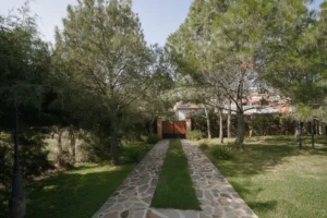Cabaña Andrómeda, Paseo del Llano: área verde