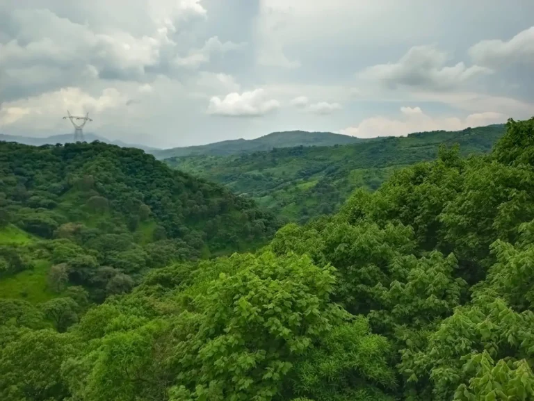 Paisaje de la sierra en Mazamitla